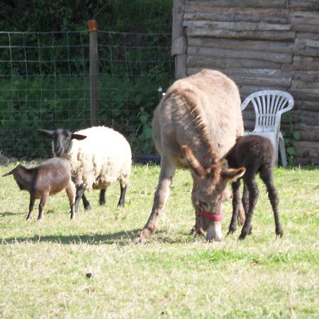 Les Pieds Dans L'Herbe Panzió Rosporden Kültér fotó