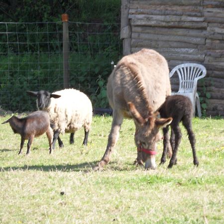 Les Pieds Dans L'Herbe Rosporden Kültér fotó