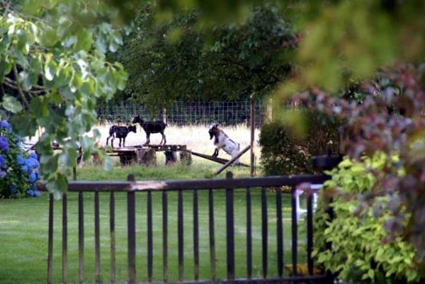 Les Pieds Dans L'Herbe Rosporden Kültér fotó