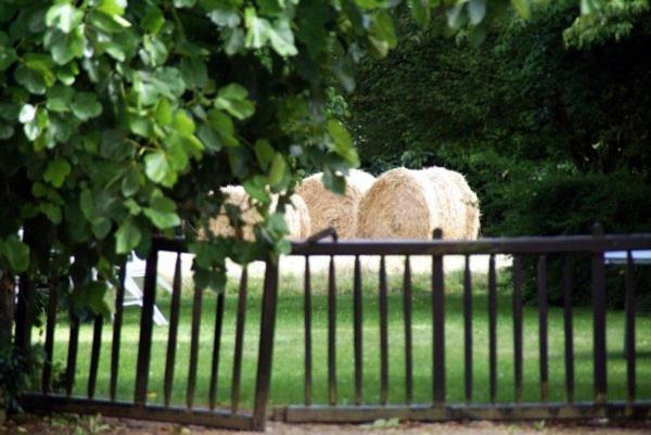 Les Pieds Dans L'Herbe Panzió Rosporden Kültér fotó