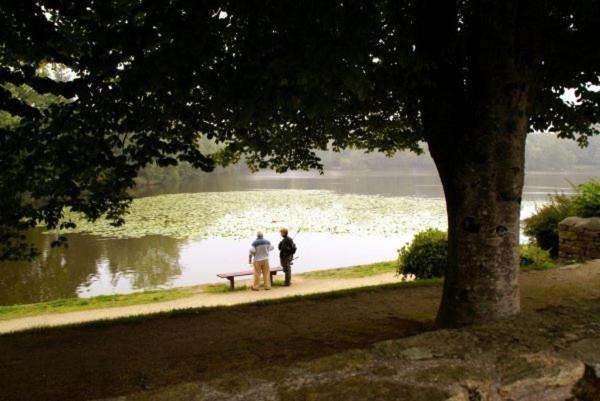 Les Pieds Dans L'Herbe Panzió Rosporden Kültér fotó